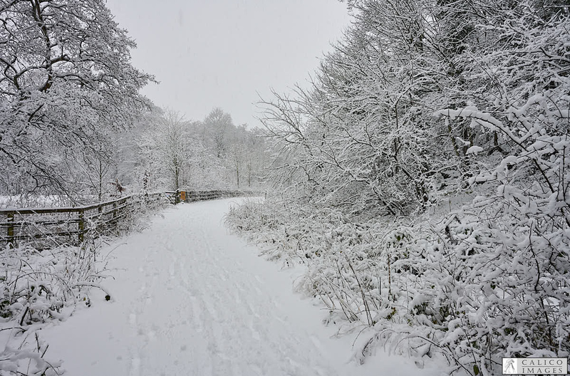 _Z008988 Snowy path in Deepdale Nature...