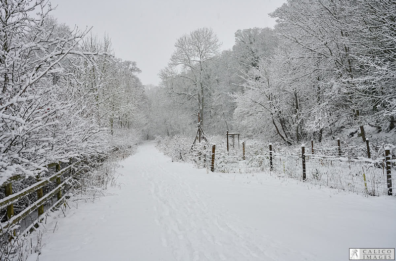 _Z008990 Snowy path in Deepdale Nature...