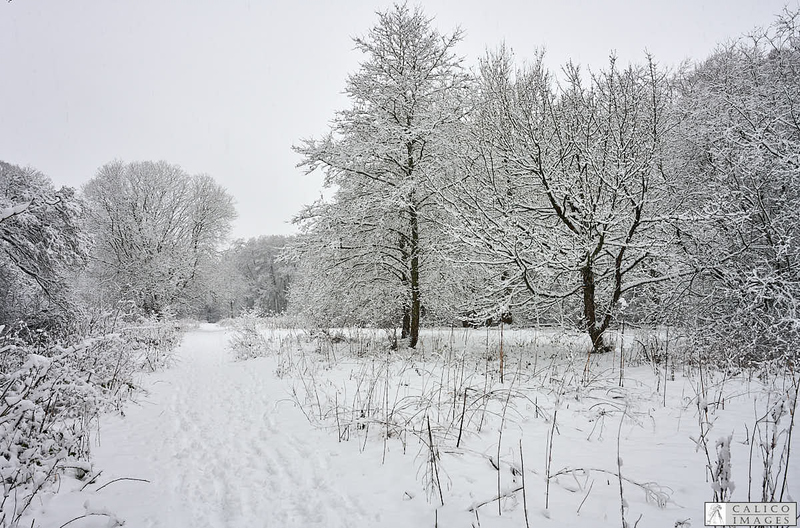 _Z008991 Snowy scene in Deepdale Nature...