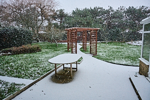 Snow falling in garden