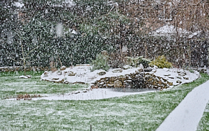 Snow falling in garden