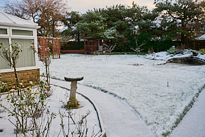 Snow in garden