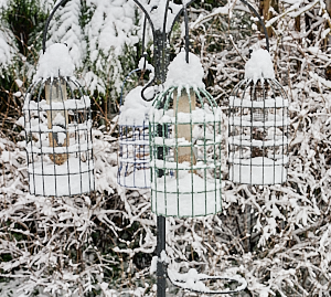 Snow covered bird feeders