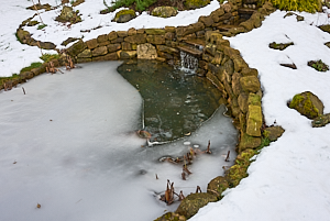 Melting ice on pond