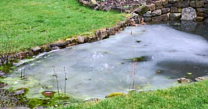 Garden ponmd with partially frozen surface.