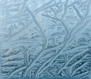 Frost patterns on conservatory roof