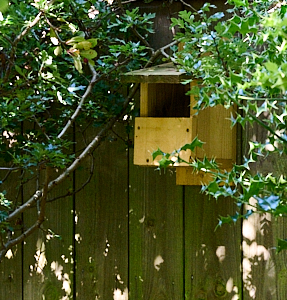 Open front nest box on fence
