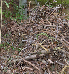 Log or habitat pile