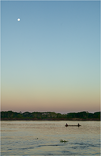 Canoe paddling down the river Amazon